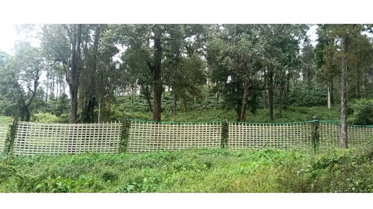 a-i-ele-fencing