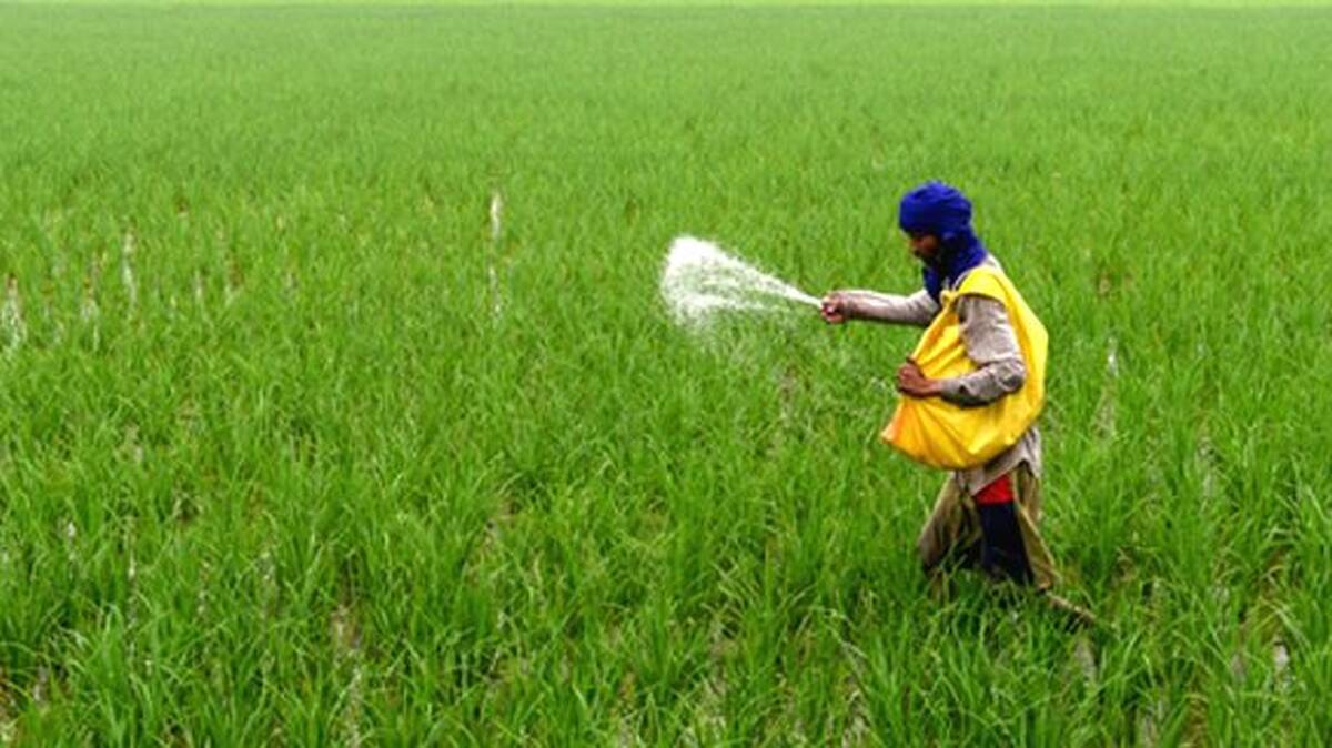 fertilizer