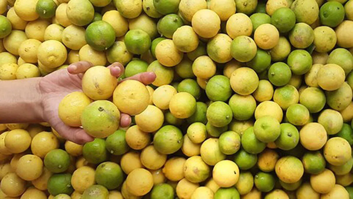 lemon
