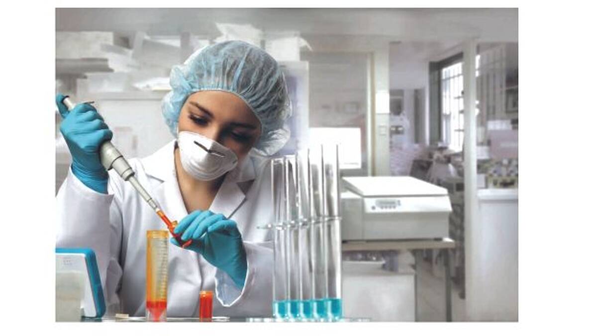 lab