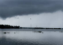 rain