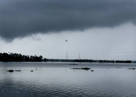 rain.1.4032164
