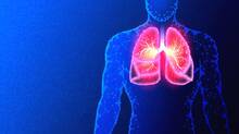lungs