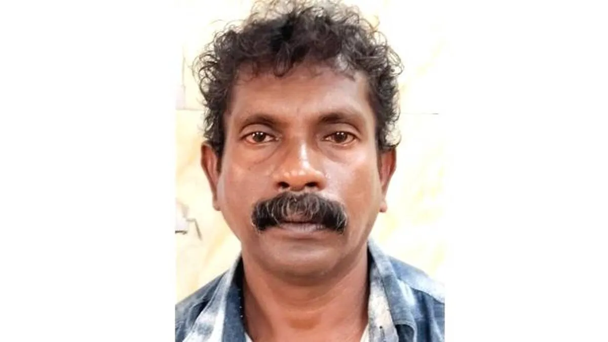 salju- salju-