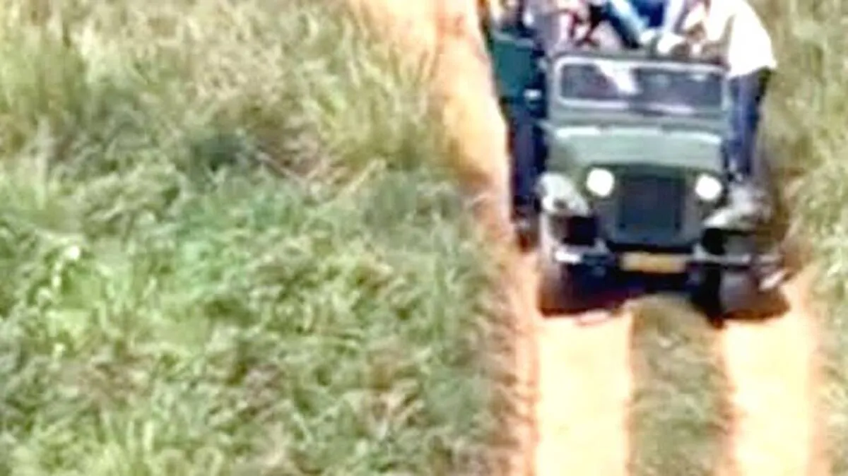 offroad
