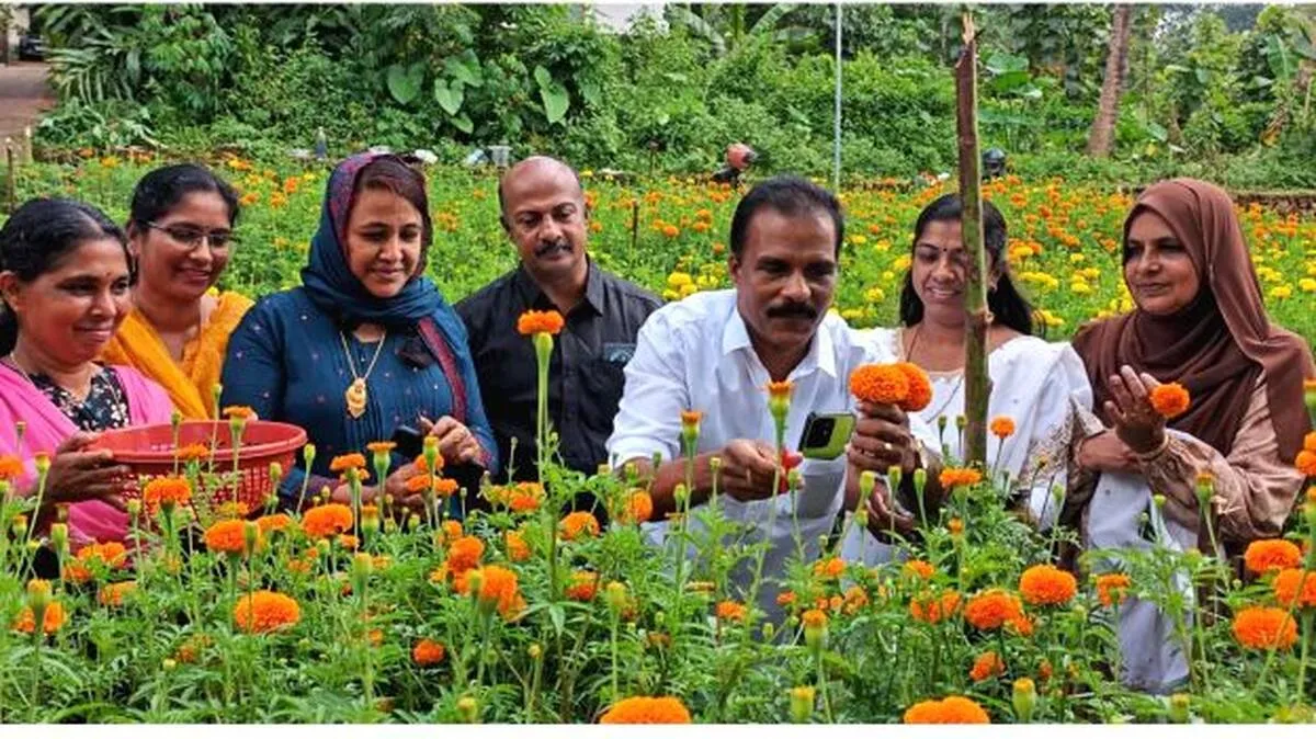 kumaramangalamflower