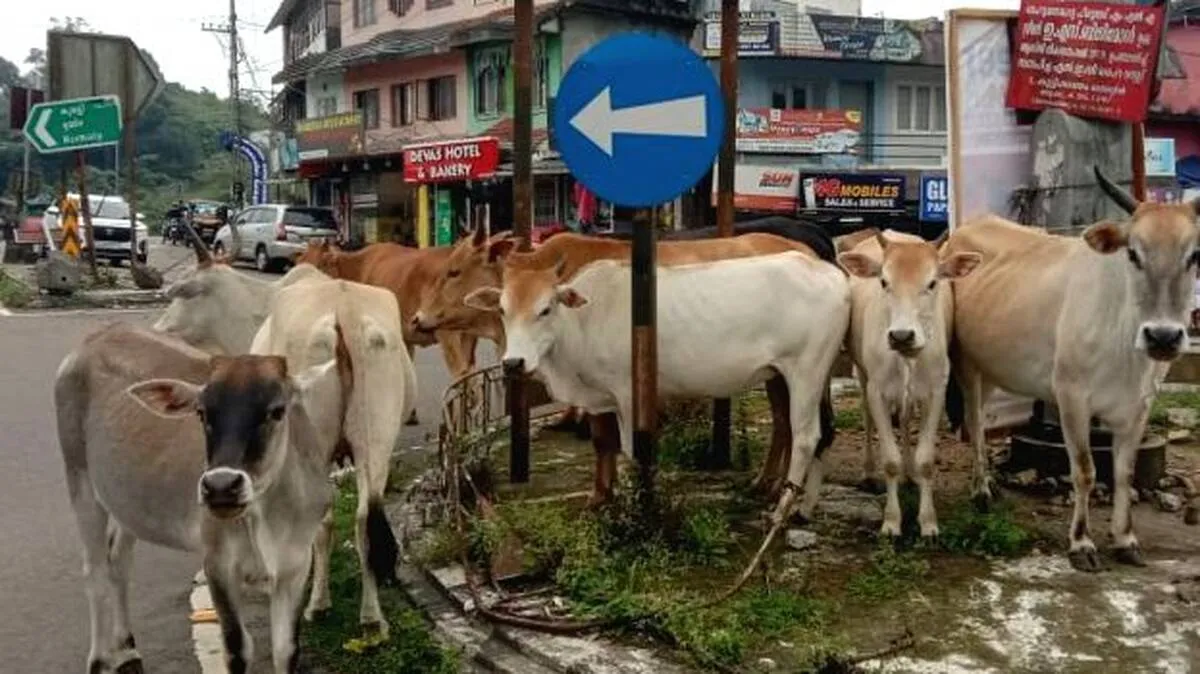kannukalikal