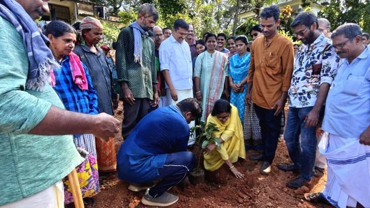 daily