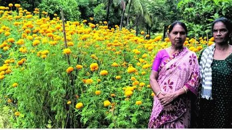 chendumalli.1789576206