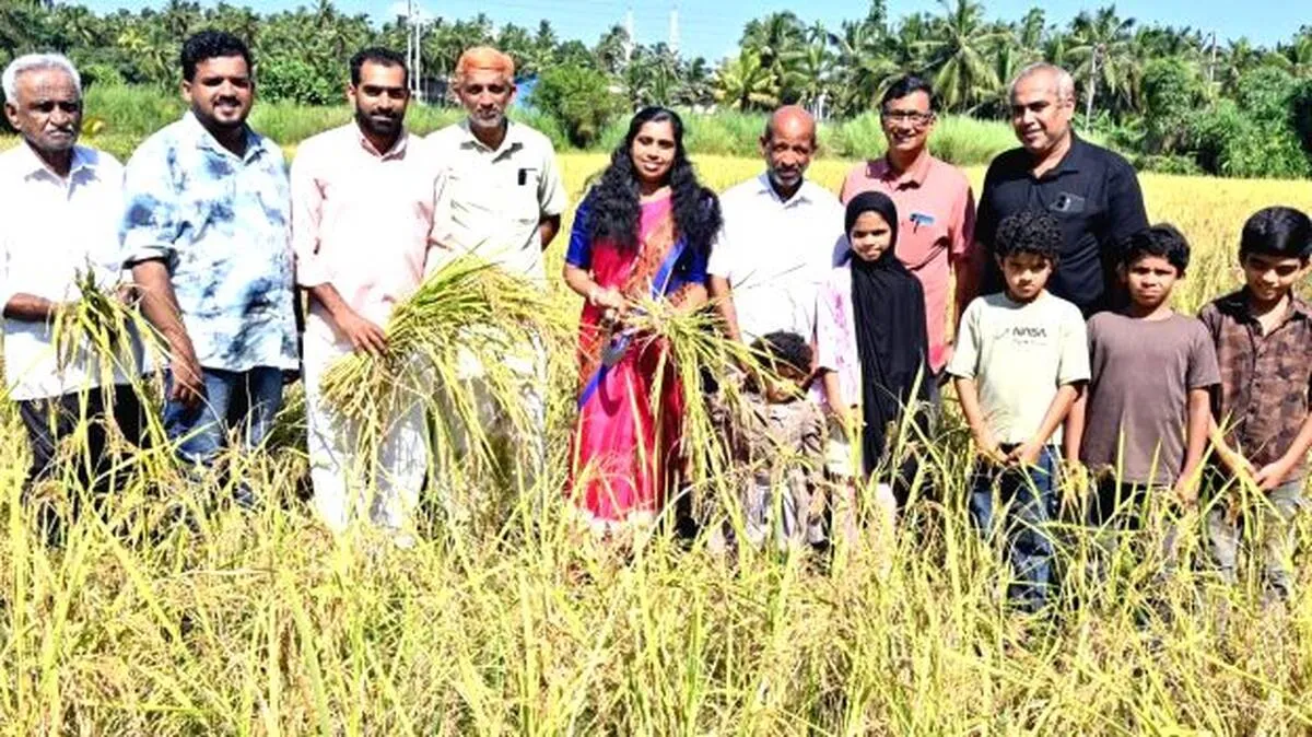 krishi