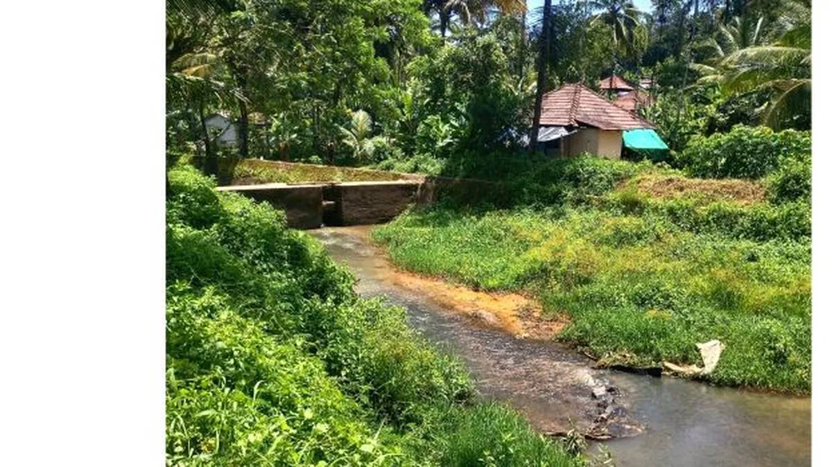 palakolly-dam