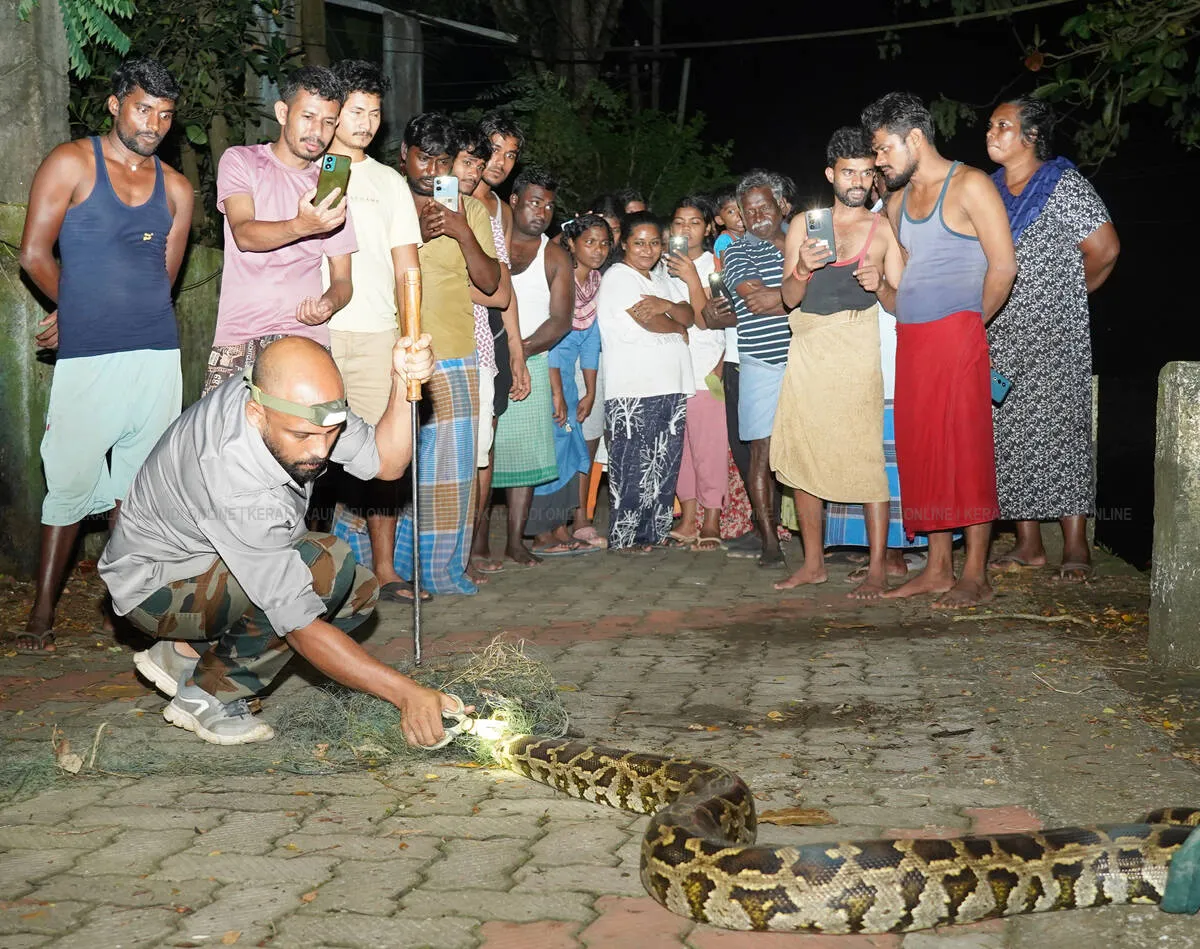 snake