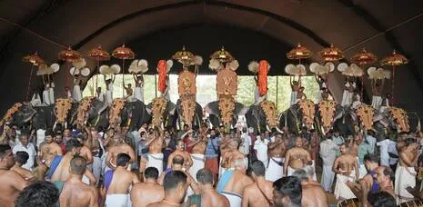 mailliyoor.1.4021266