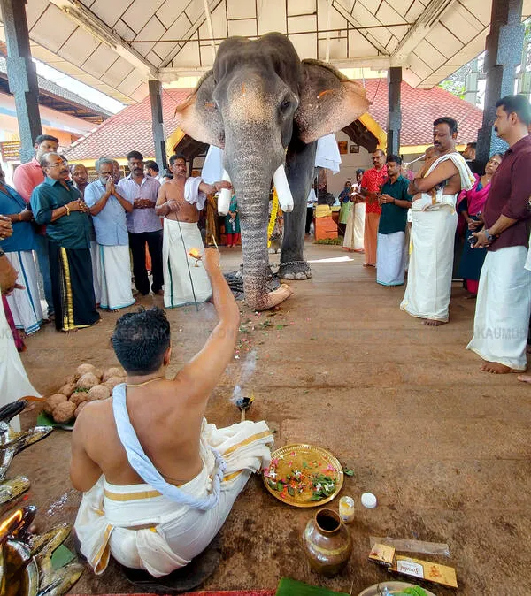 gajapooja