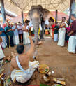 gajapooja