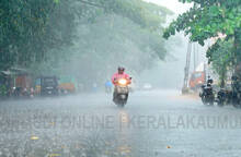 rain