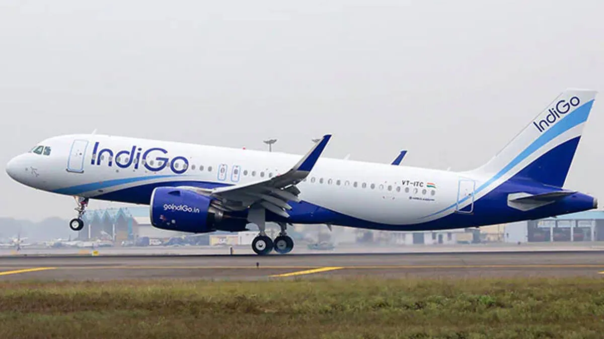 indigo-flight
