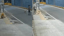 stray-dogs-save-mentally-ill-woman-sexual-assault-attempt-youth-arrested