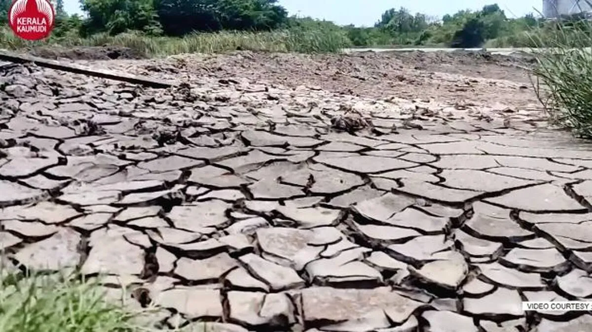 drought