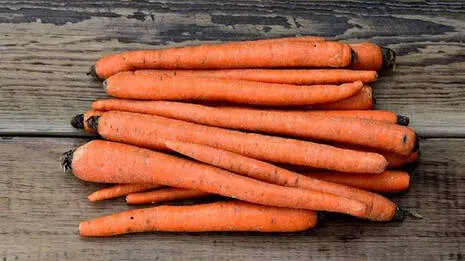 carrot.1.4011395