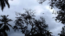 kerala-rain-alert-yellow-alert