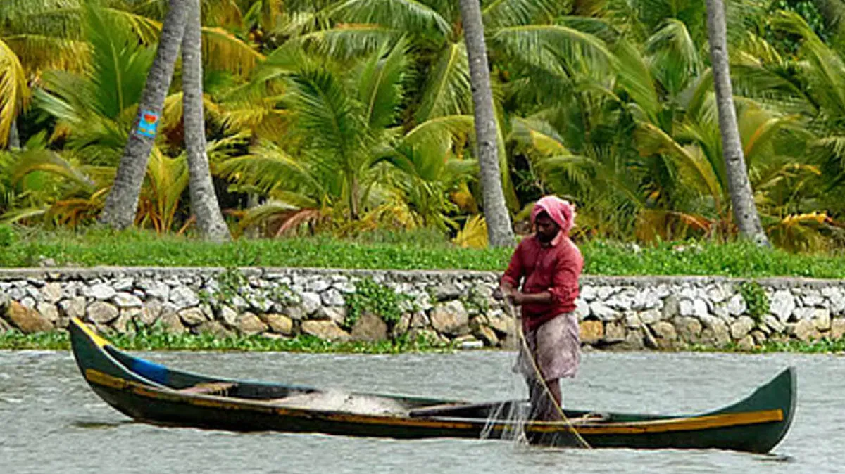 karimeen-
