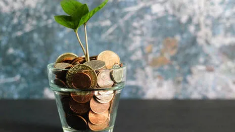 money-plant.1.4012847