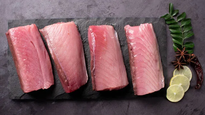 fish