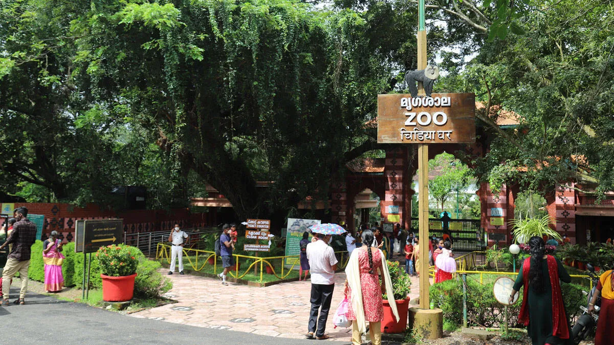 zoo