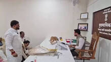 maharashtra-nashik-activists-release-stray-dogs-on-officials-table