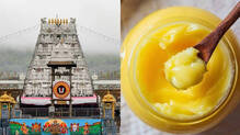 tirupati-laddu-ghee-case-ed-arrest