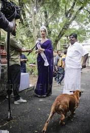 dog-1.1.4031940
