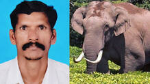 idukki-wild-elephant-attack-tribal-youth-died