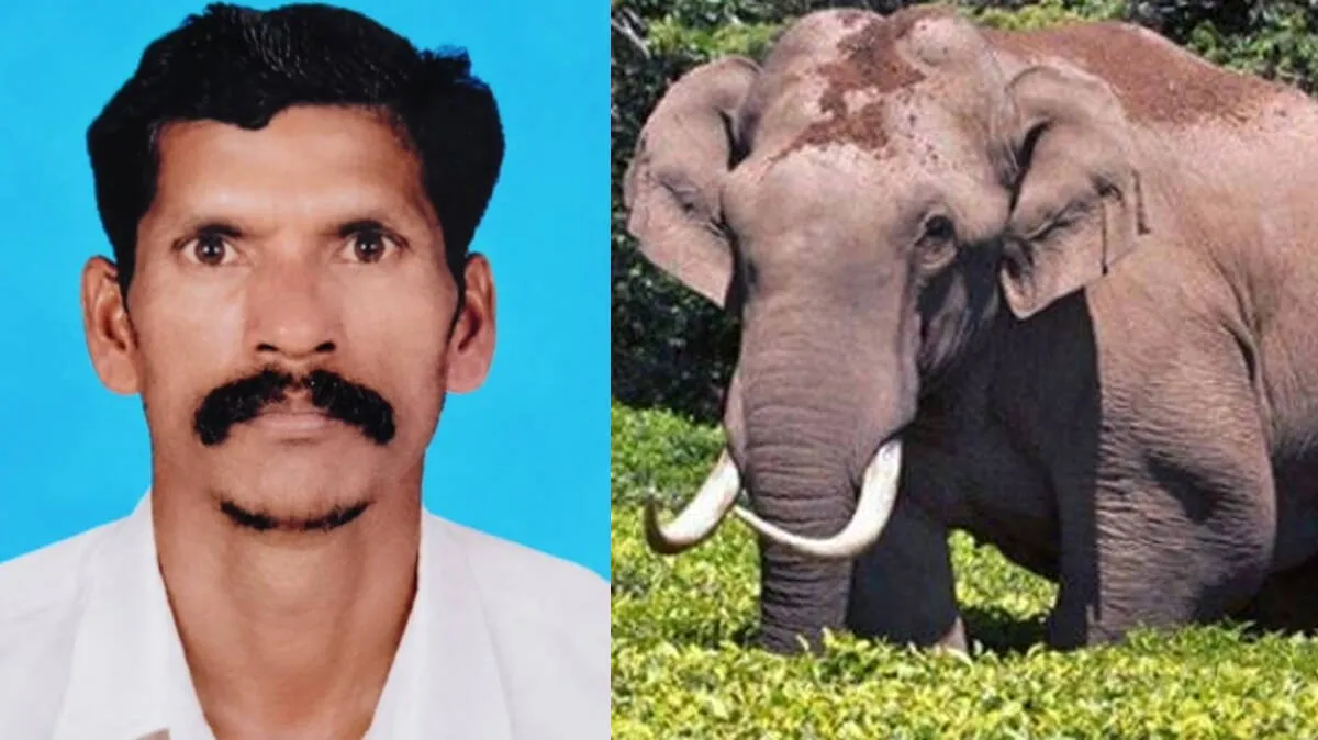 vijayan