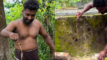 kollam-youth-brings-snake-hospital