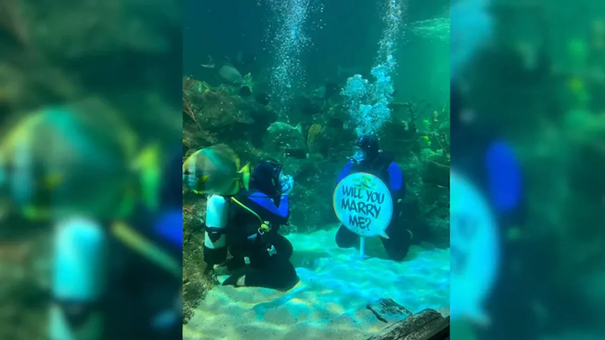 man-proposes-girlfriend