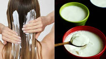 curd-grey-hair-remedy