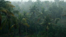 kerala-rain-yellow-alert-five-districts
