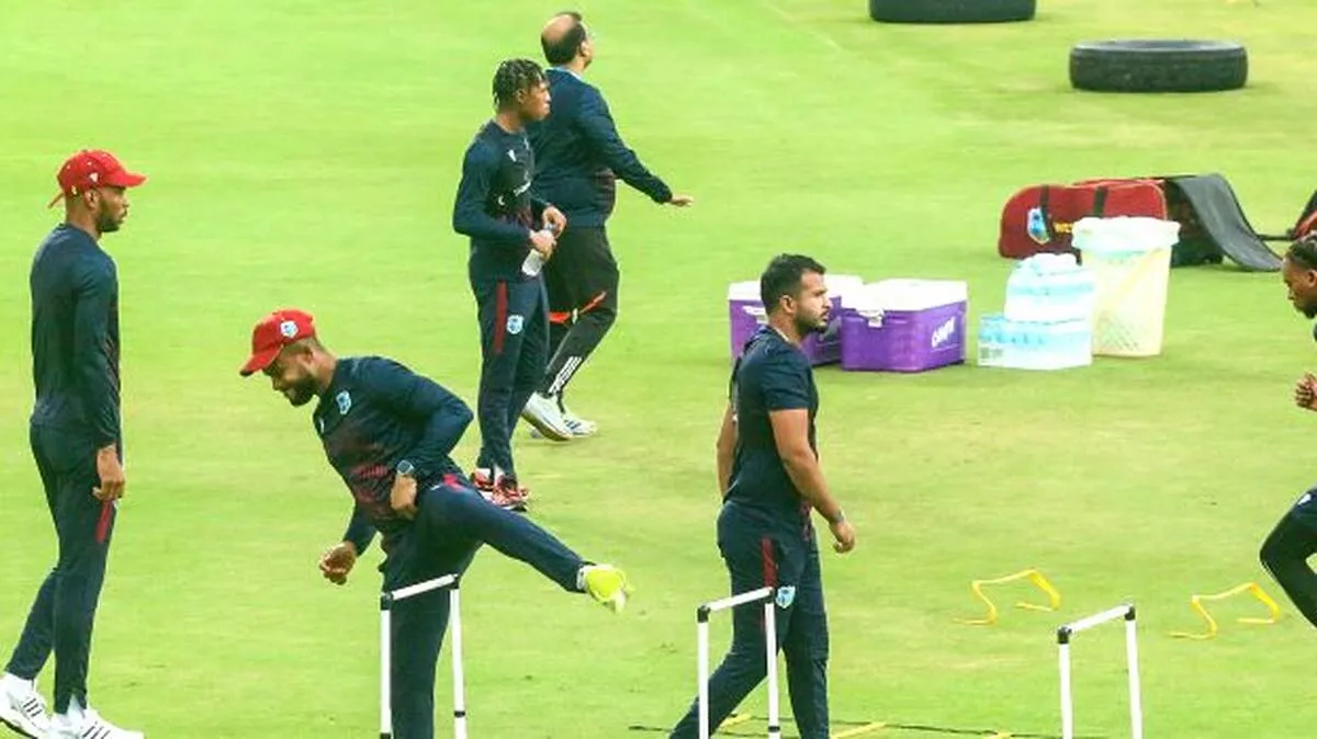 cricket cricket