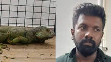 wildlife-crime-fake-certificates-racket-busted-in-kerala