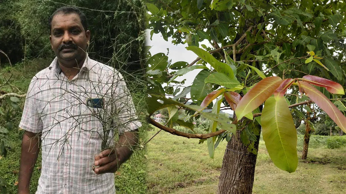 sreeenivasan-vaidyar