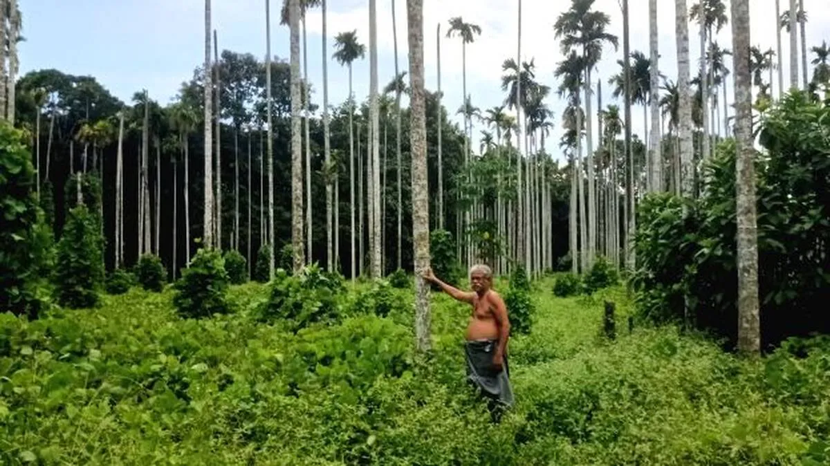 farmer