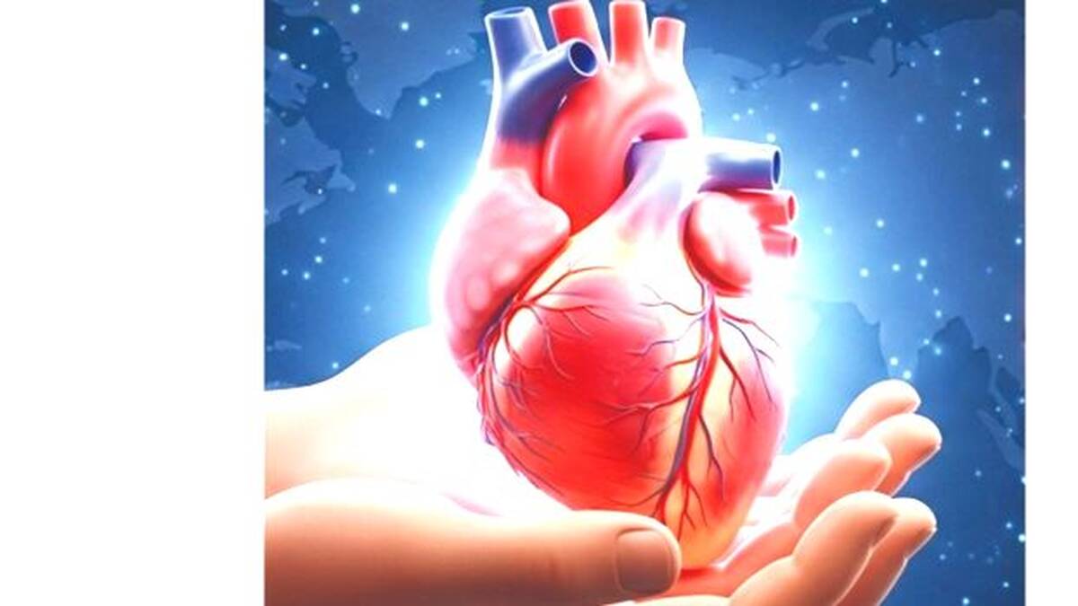 heart
