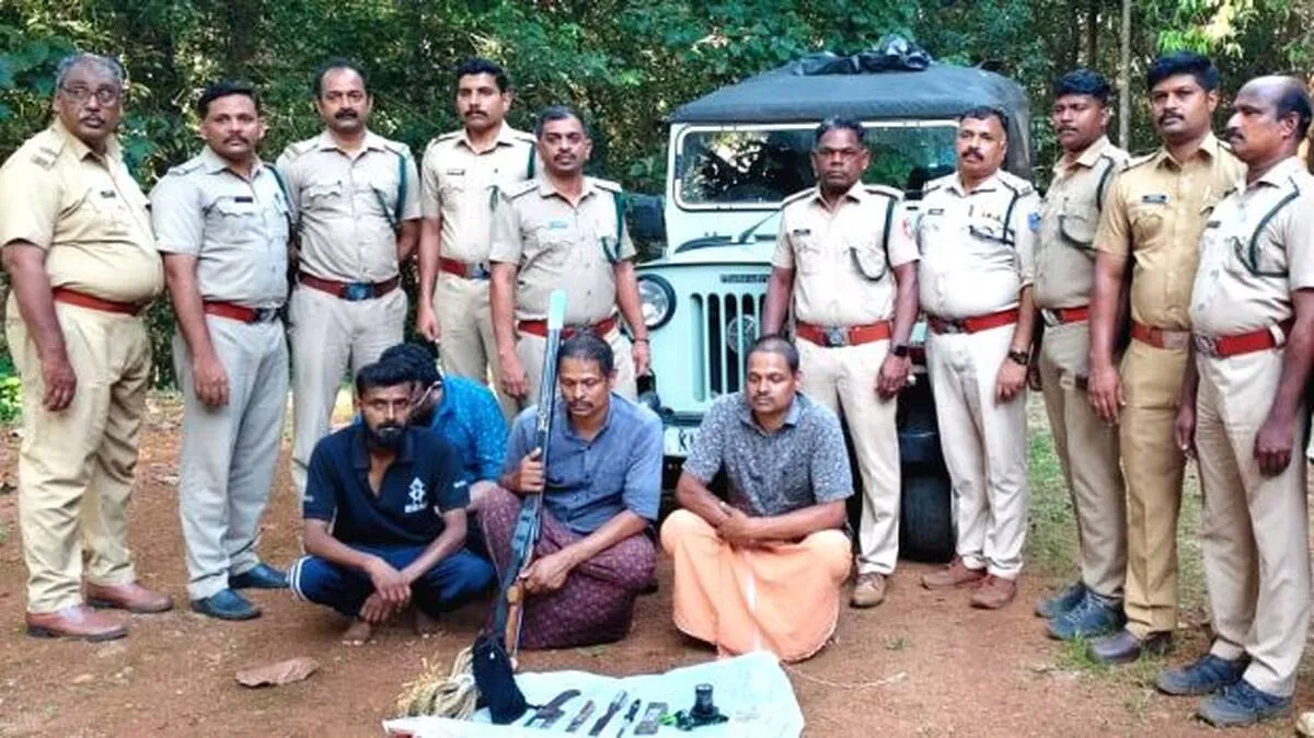 forest-