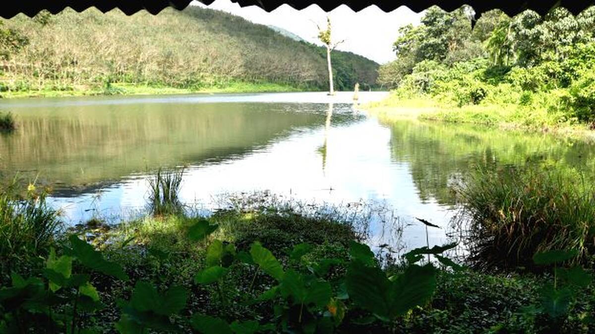 karikayam