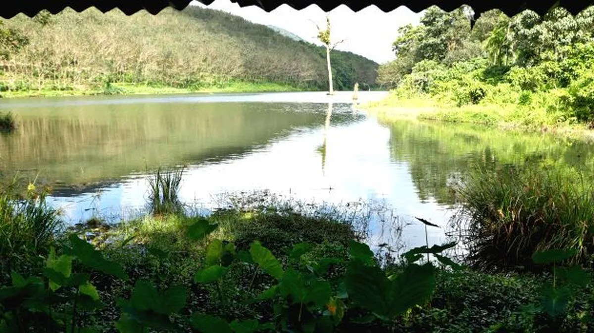 karikayam