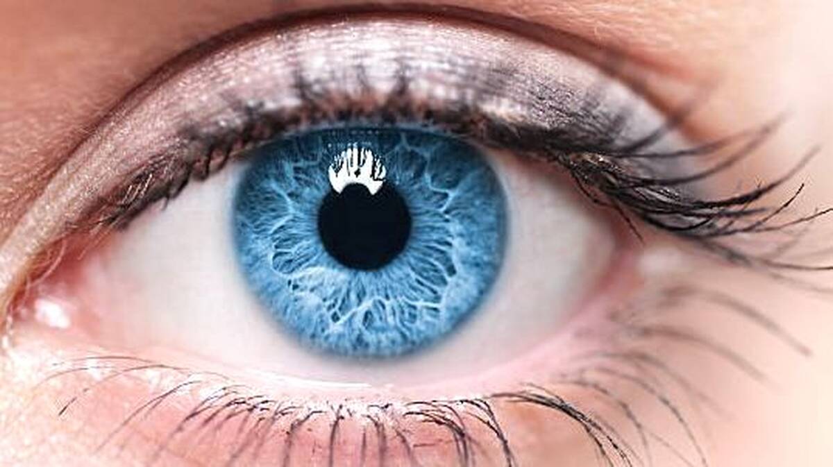 eye