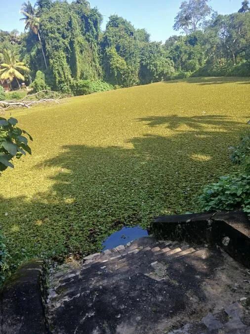 kulam