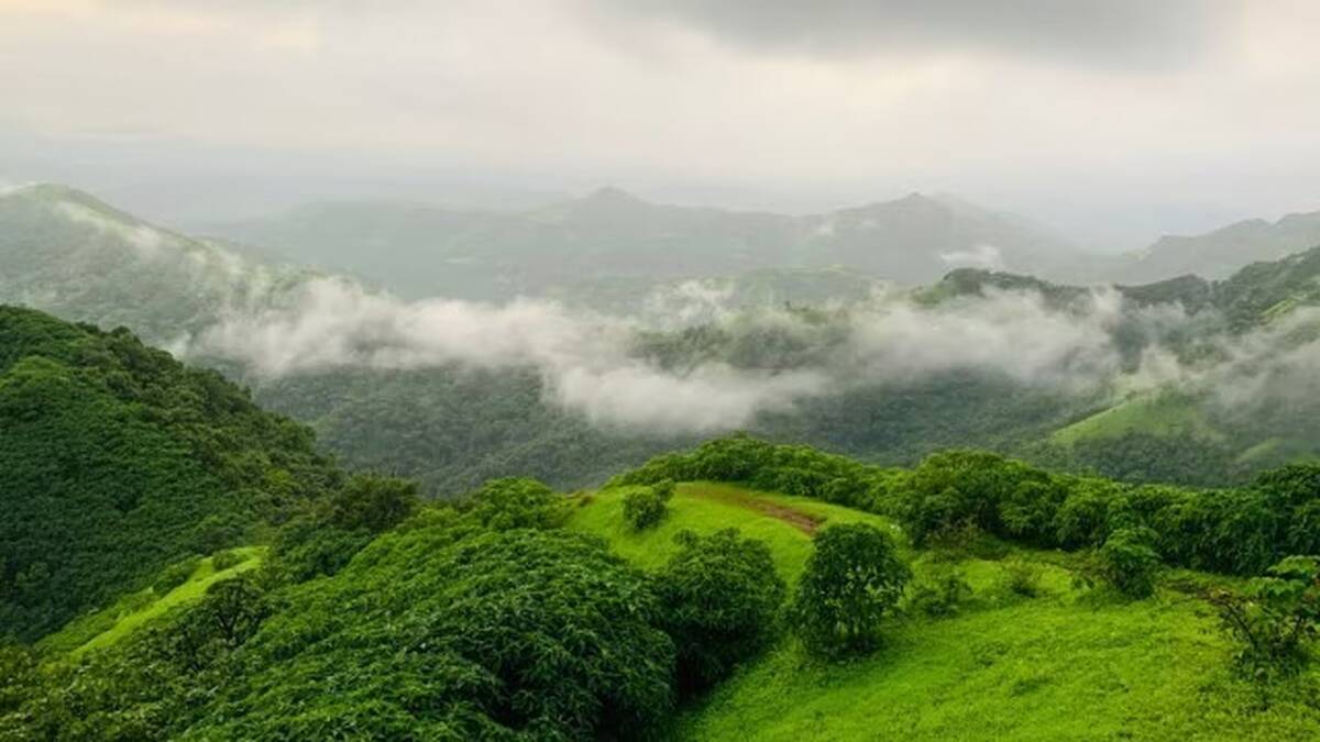 sahiya