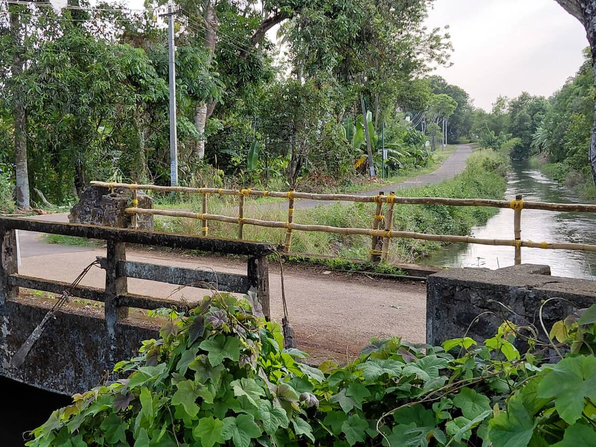 bridge-